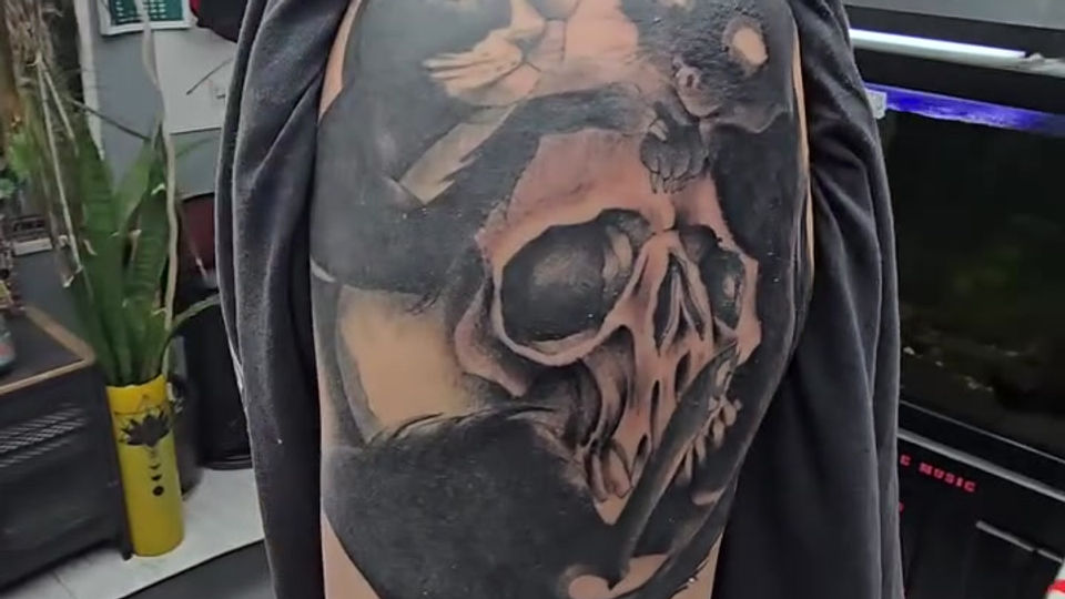 Cats Love Skulls